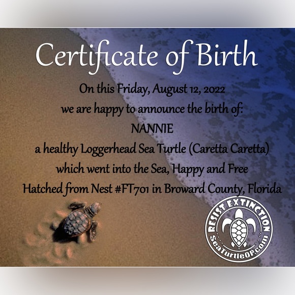 Happy 1st BIRTHDAY MY Namesake Loggerhead Turtle ‼️❣️🎈🎈🎈 - Picture 1 of 2